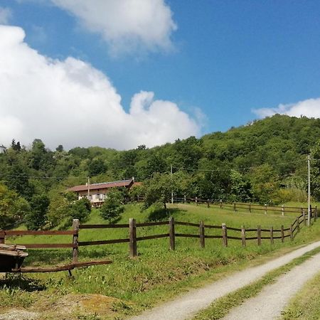 Bed and Breakfast La Casa In Collina Cinzano Екстер'єр фото